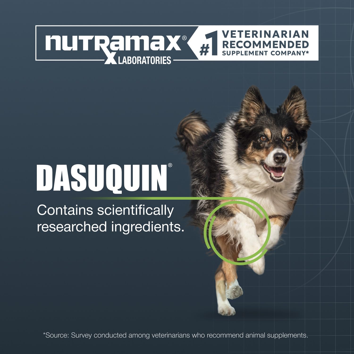 Amazon.com : Nutramax Dasuquin Joint Health Supplement for Large